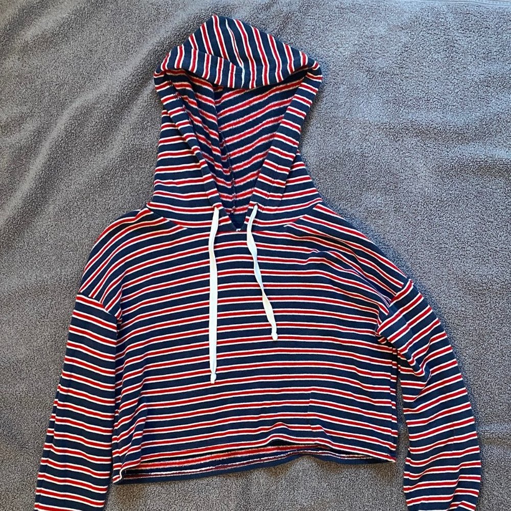 American Eagle Cropped Hoodie